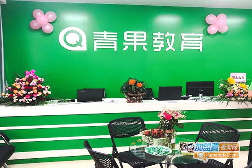 青果教育加盟需要多少钱 总投资21.06万元 加盟费查询网
